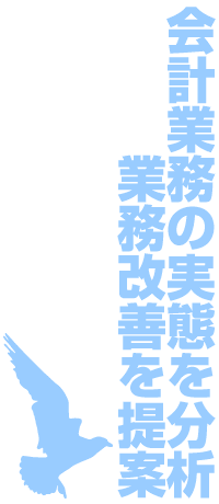 会計業務の実態を分析・業務改善を提案